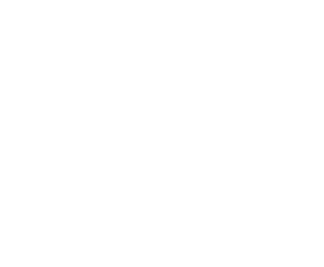 national flood insurance logo